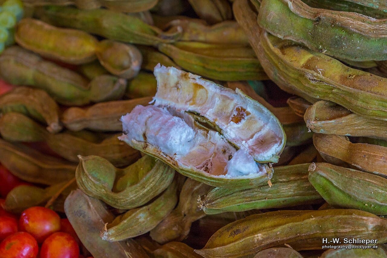 A Morning at Mercado San Camilo: The Heart That Beats