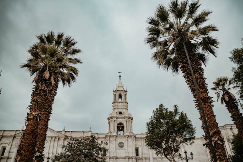Foto de Marco Benedetti