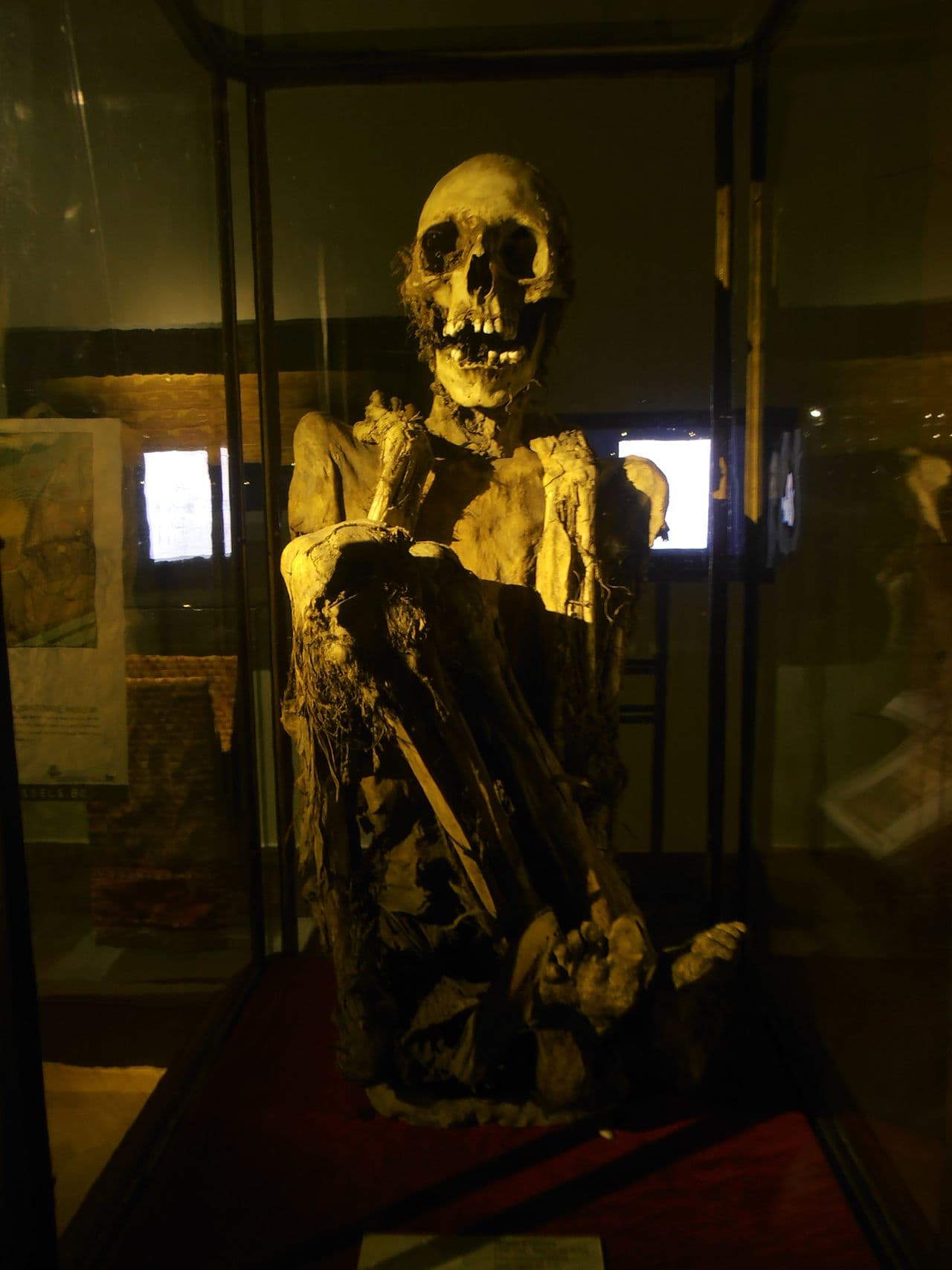 Museo Santuarios Andinos — Juanita la Dama de Hielo